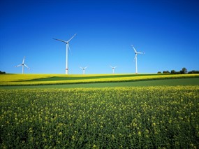 油菜田发电风车风景图片